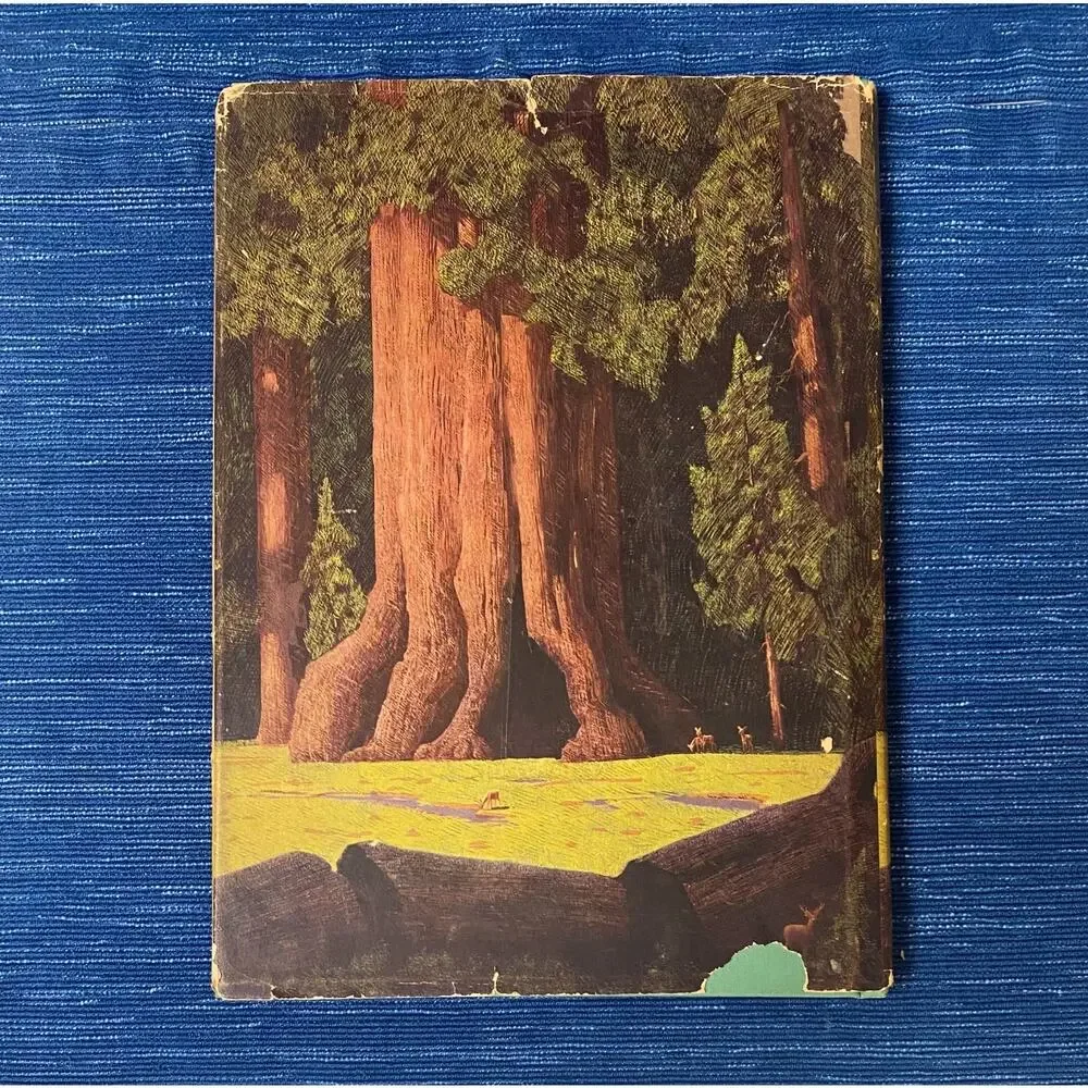 Big Tree Mary & Conrad Buff 1946 First Edition Hardcover Children’s Nature 87B